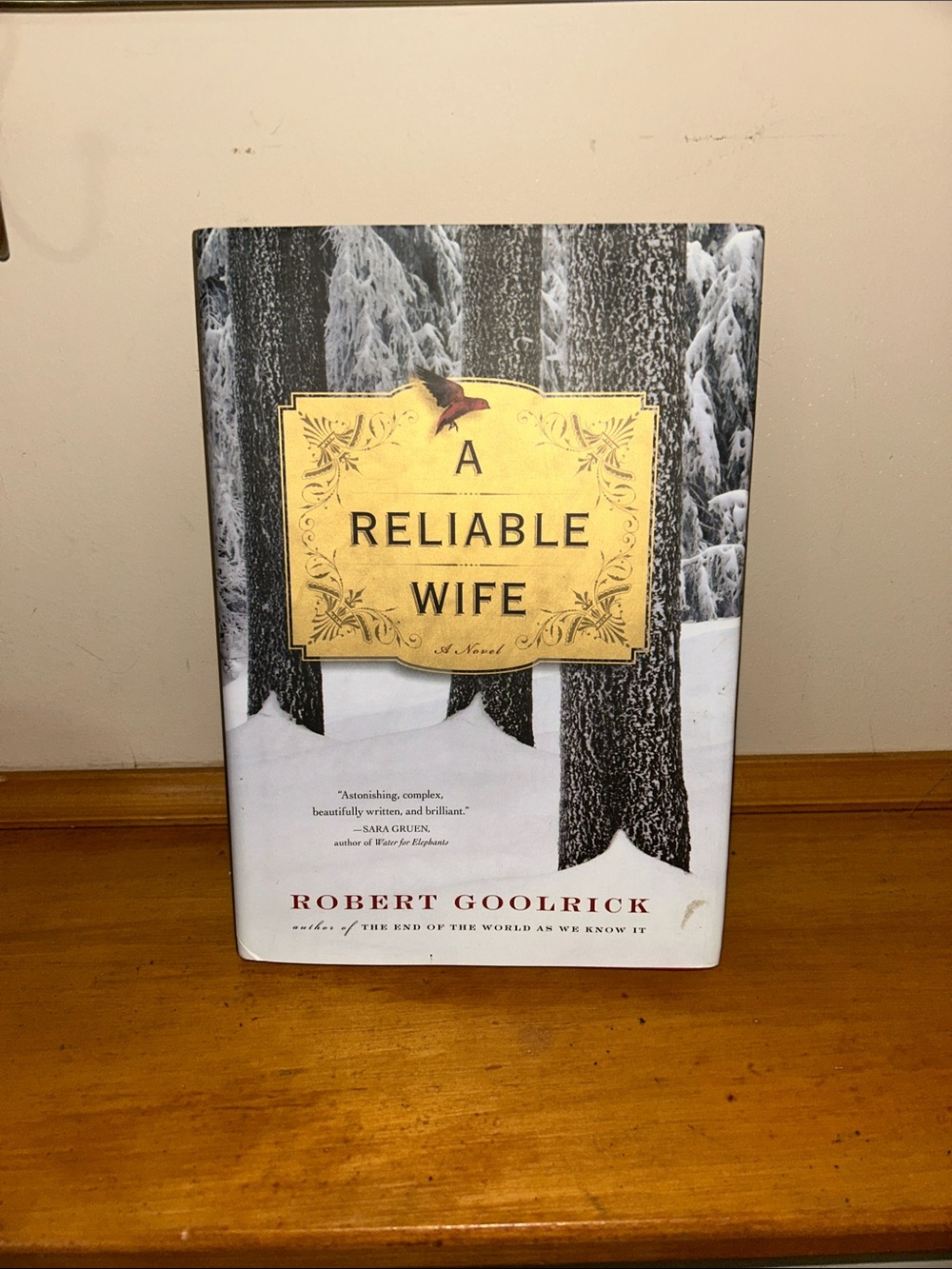 A Reliable Wife by Robert Goolrick